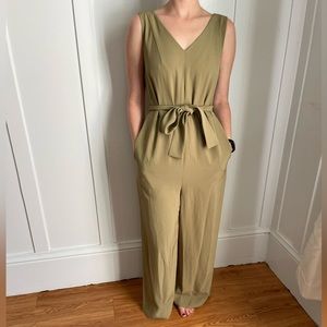 Everlane Japanese goweave jumpsuit